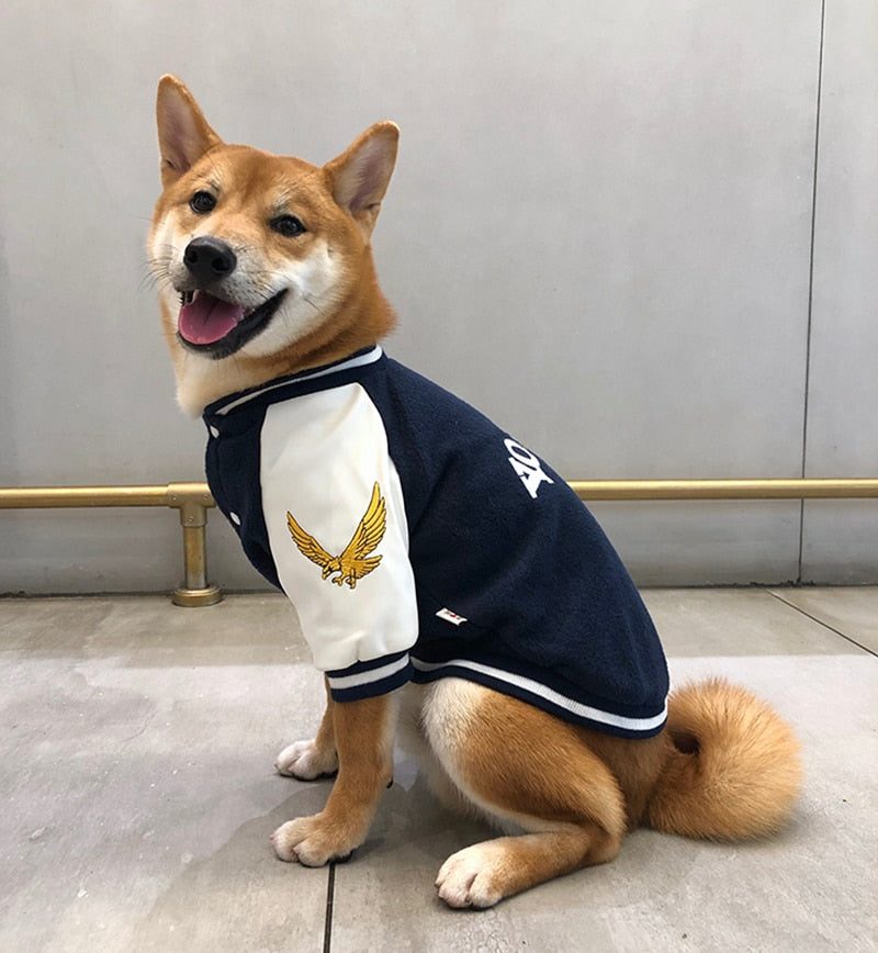 Suéter Universitario Estilo Coreano para Perros