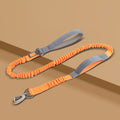 Correa Reflectante para Perros – Longitud Ajustable Libremente