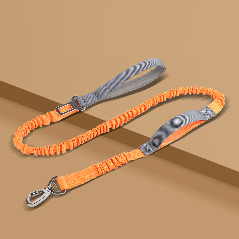 Correa Reflectante para Perros – Longitud Ajustable Libremente