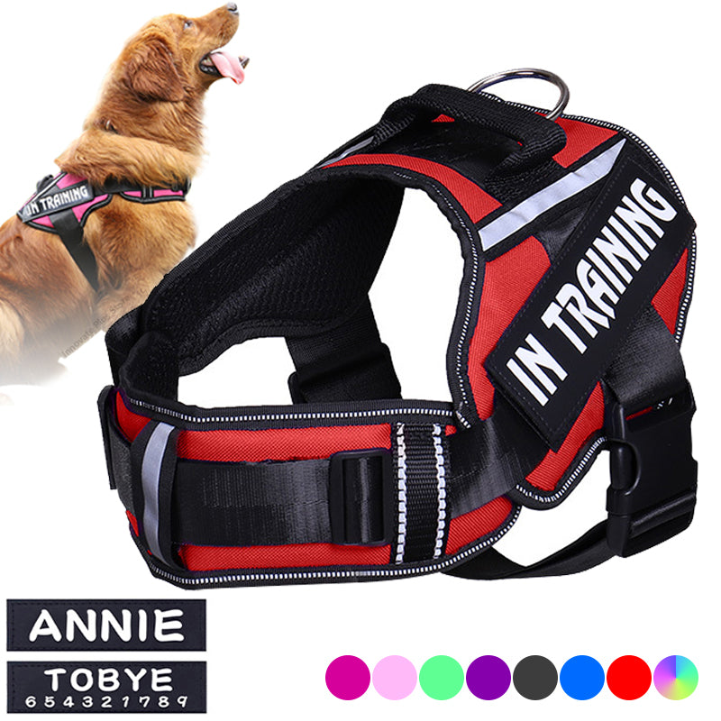 Pechera Reflectante con Protección de Cuello para Perros