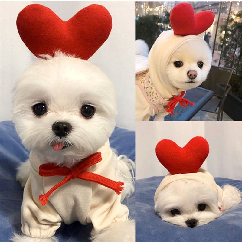 Abrigo con Capucha para Perros – Ropa de Invierno Cálida en Polar – Tallas XS a XXL