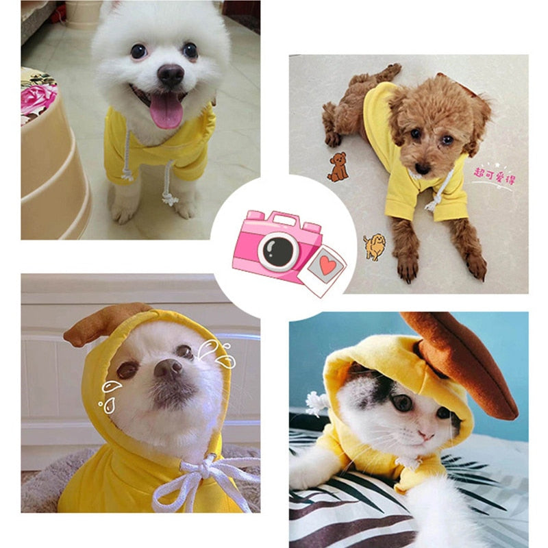 Abrigo con Capucha para Perros – Ropa de Invierno Cálida en Polar – Tallas XS a XXL