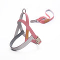 Correa Chaleco Pectoral para Perros – Talla Mediana y Grande, Golden Retriever
