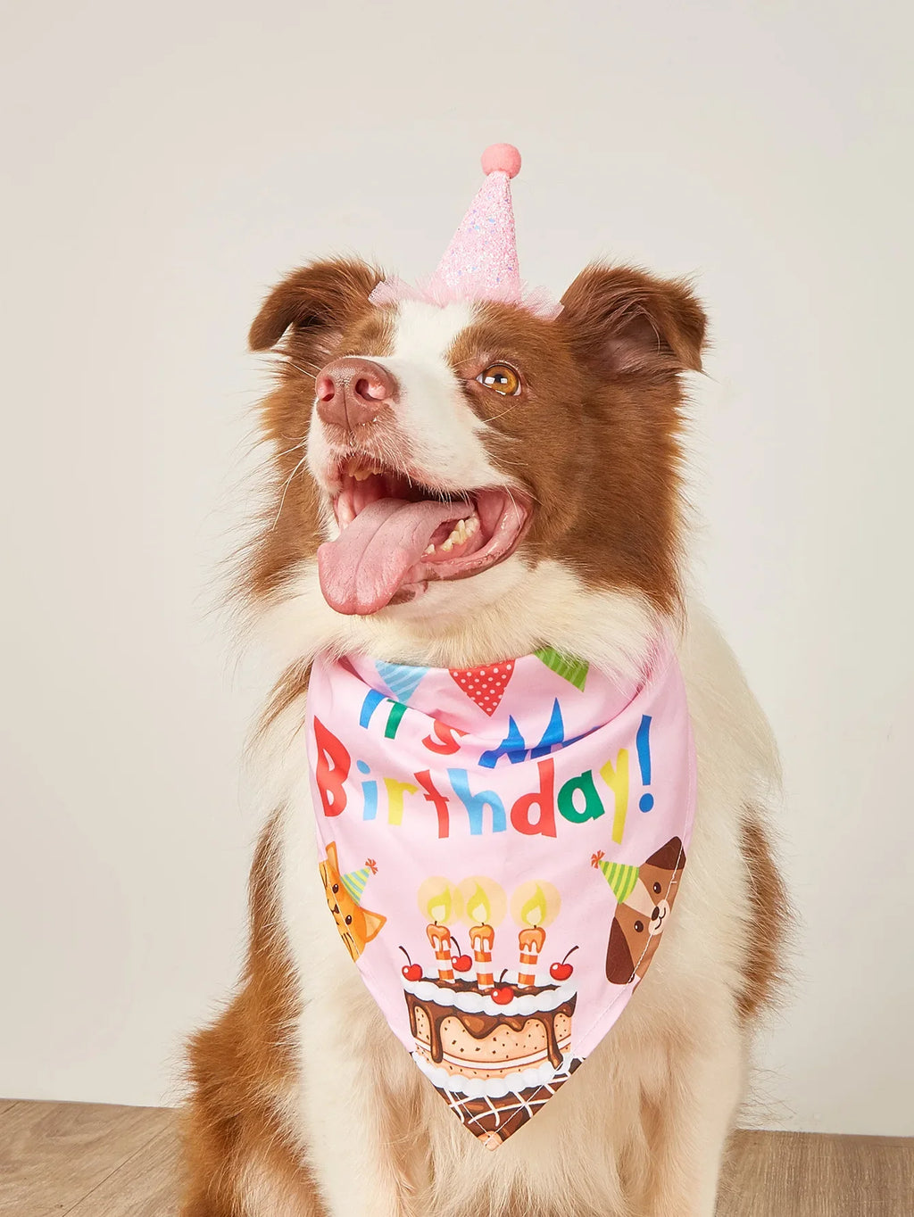 Decoración de Cumpleaños para Perros – Gorro, Bandana y Banderines