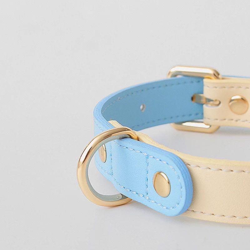 Collar y Correa de Cuero Genuino para Perros y Gatos – Accesorios Premium