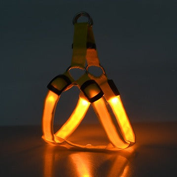 Arnés LED Luminiscente para Perros – Correa con Luz para Paseos Nocturnos