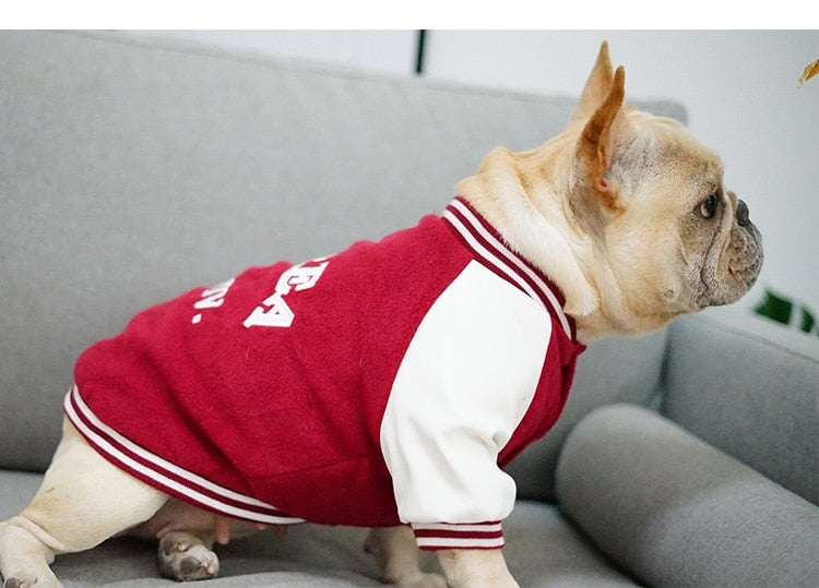 Suéter Universitario Estilo Coreano para Perros