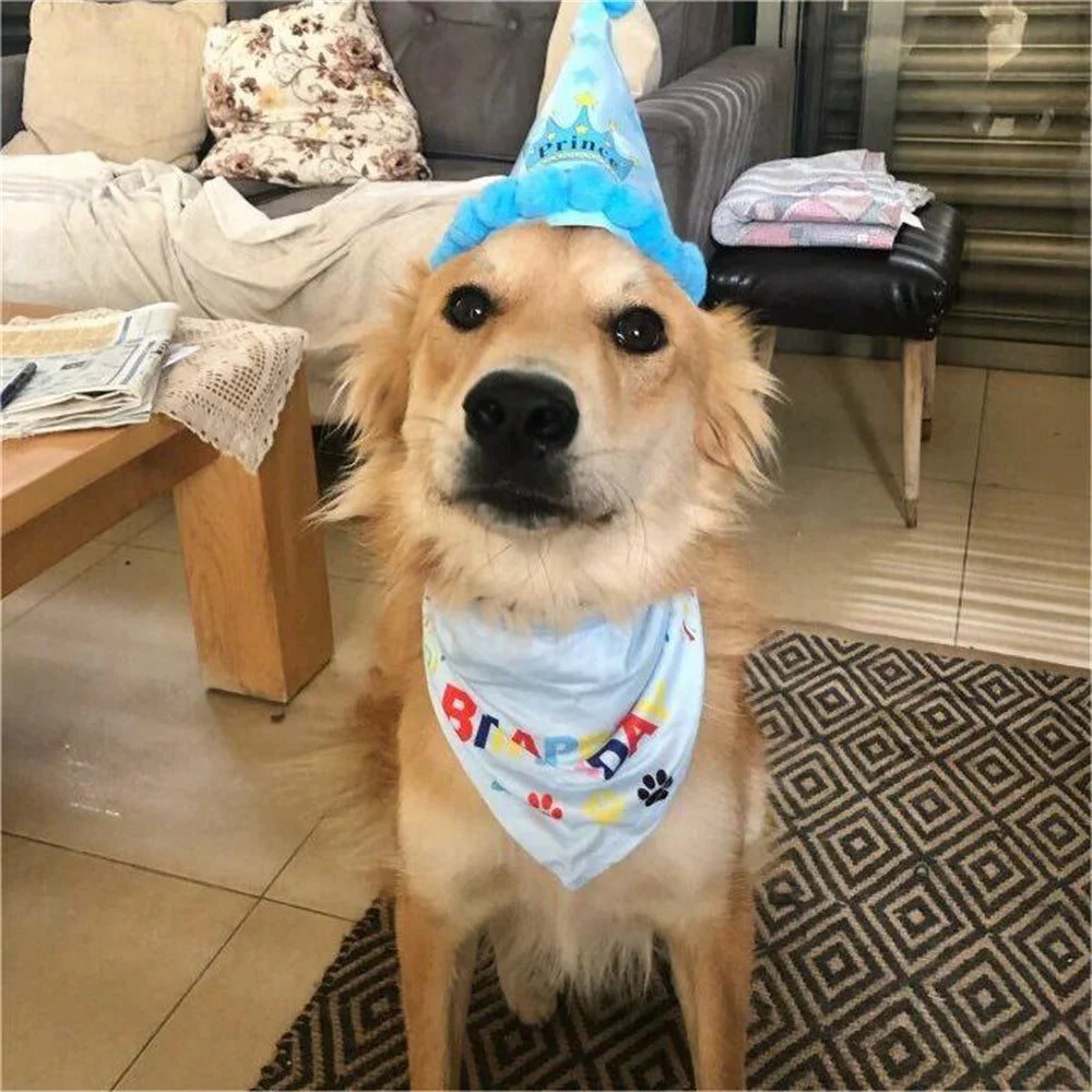 Set de Cumpleaños para Mascotas – Gorro y Bandana (2 piezas)