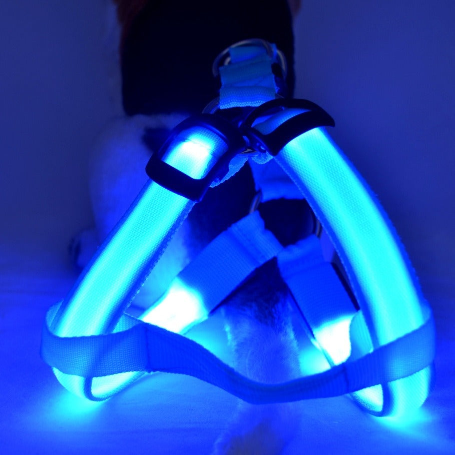 Arnés LED Luminiscente para Perros – Correa con Luz para Paseos Nocturnos