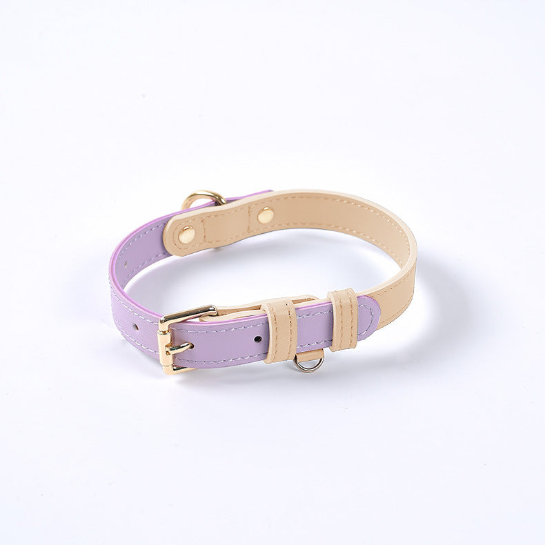 Collar y Correa de Cuero Genuino para Perros y Gatos – Accesorios Premium