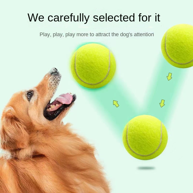 Pelota de Tenis de Goma para Perros - Juguete Resistente