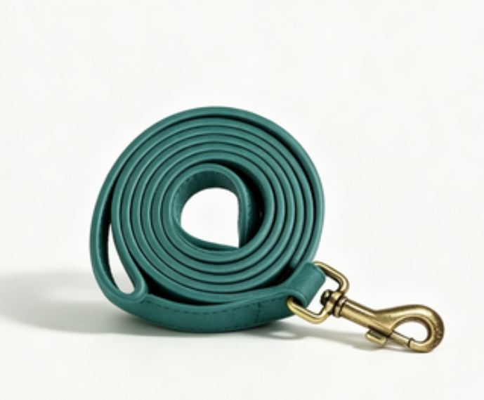 Arnés Chaleco Pectoral con Correa para Perros Medianos y Grandes