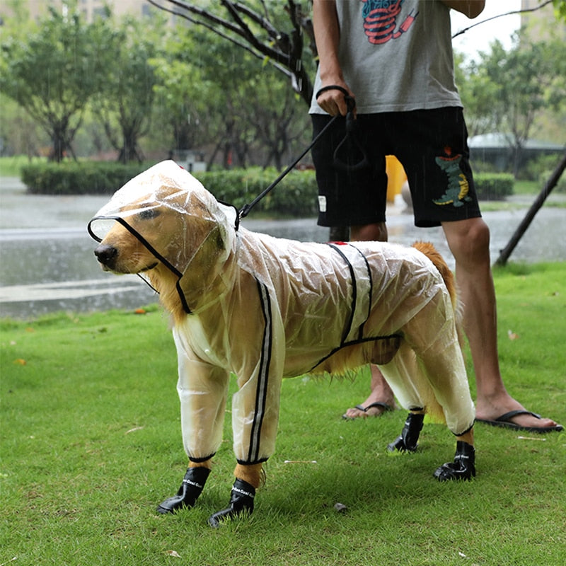 Impermeable Transparente Ligero para Perros Pequeños y Grandes