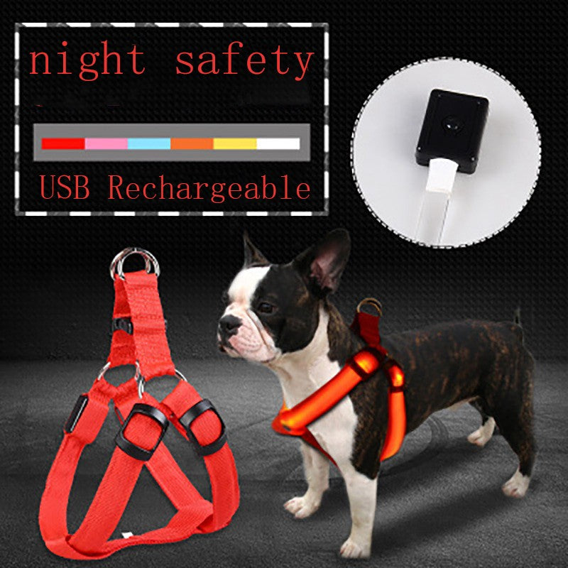 Arnés LED Luminiscente para Perros – Correa con Luz para Paseos Nocturnos