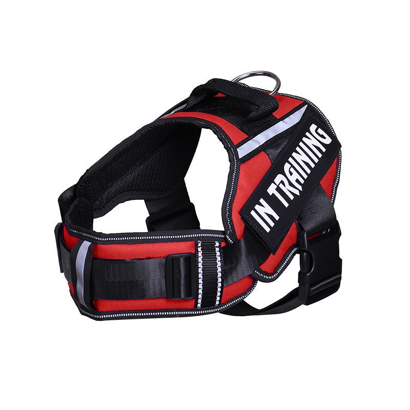 Pechera Reflectante con Protección de Cuello para Perros