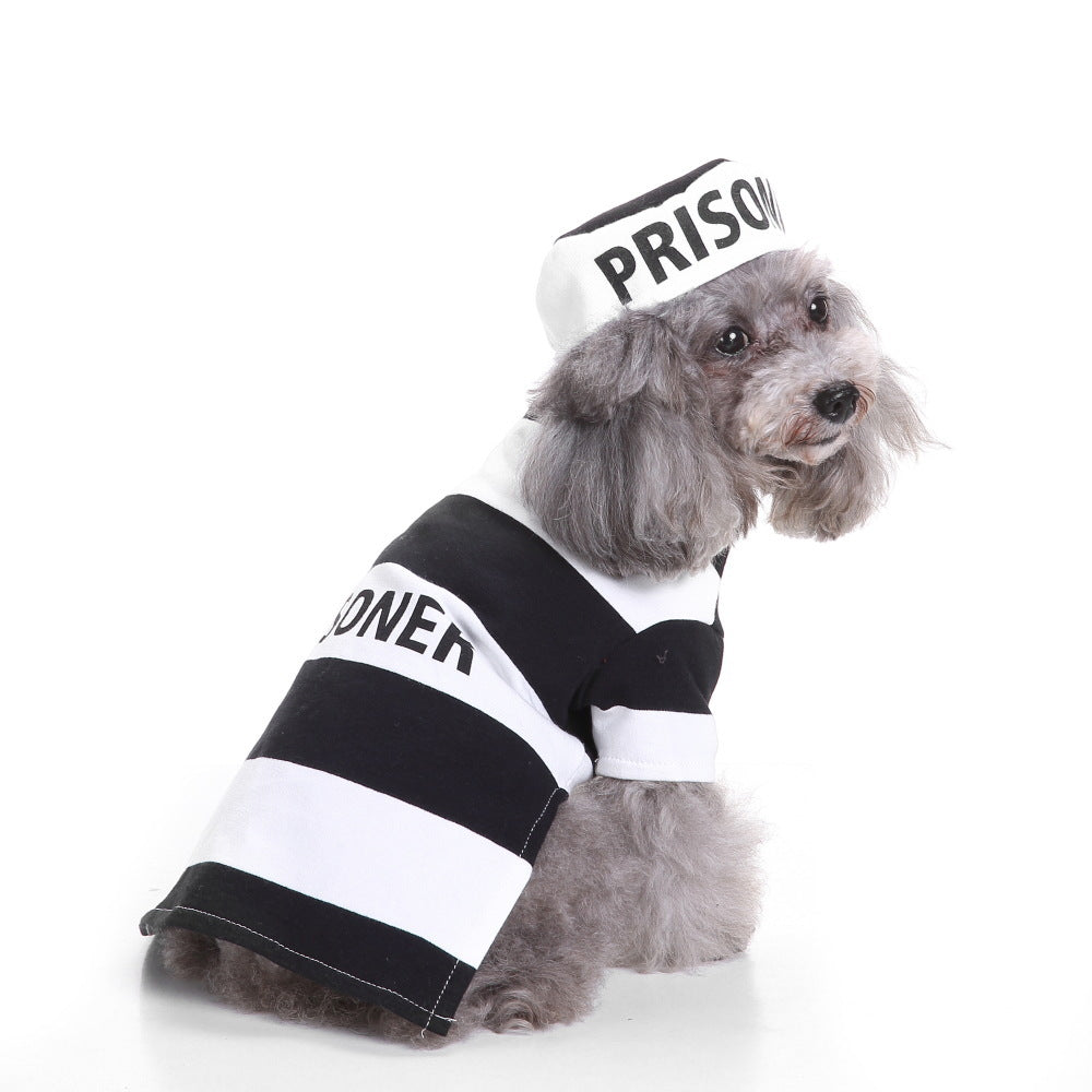 Disfraz de Halloween para Perros - Divertido y Creativo