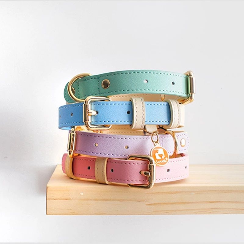 Collar y Correa de Cuero Genuino para Perros y Gatos – Accesorios Premium