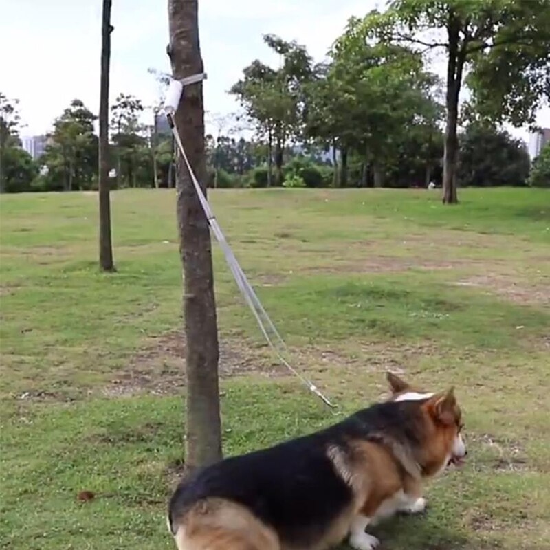 Correa Reflectante Antipérdida para Perros – Paseos Seguros al Aire Libre