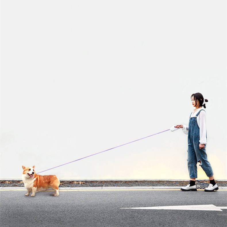 Correa Retráctil LED para Perros con Luz de Seguridad – 3m y 5m