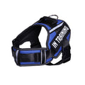 Pechera Reflectante con Protección de Cuello para Perros