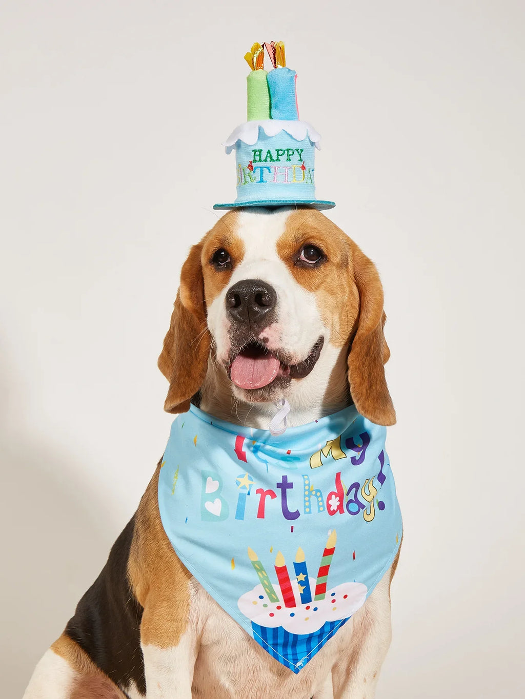 Decoración de Cumpleaños para Perros – Gorro, Bandana y Banderines