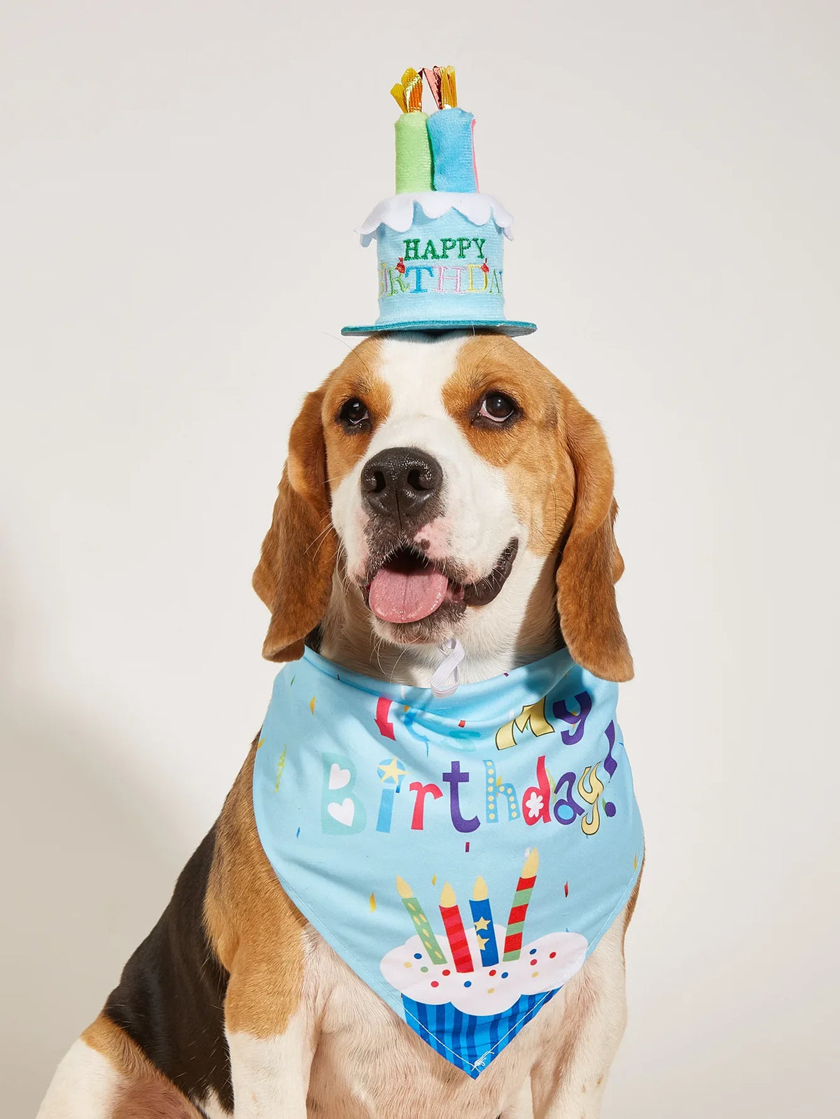 Decoración de Cumpleaños para Perros – Gorro, Bandana y Banderines