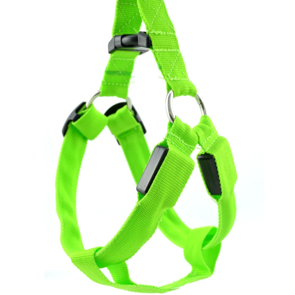 Arnés LED Luminiscente para Perros – Correa con Luz para Paseos Nocturnos