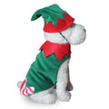 Disfraz de Halloween para Perros - Divertido y Creativo