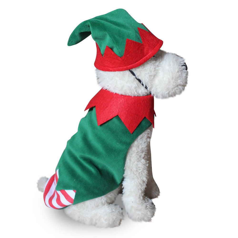 Disfraz de Halloween para Perros - Divertido y Creativo