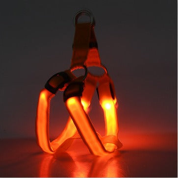 Arnés LED Luminiscente para Perros – Correa con Luz para Paseos Nocturnos