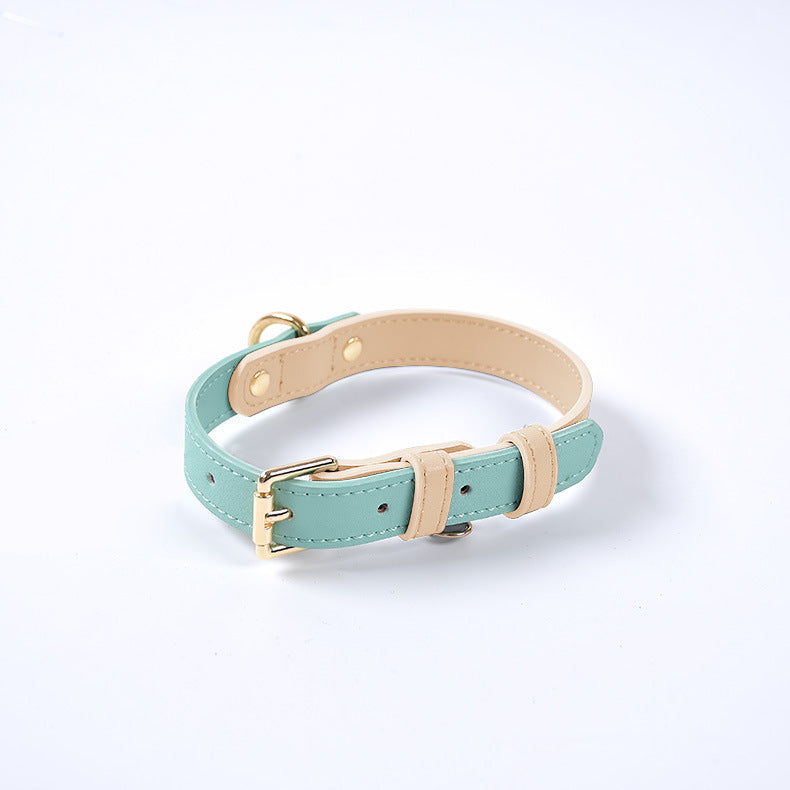 Collar y Correa de Cuero Genuino para Perros y Gatos – Accesorios Premium