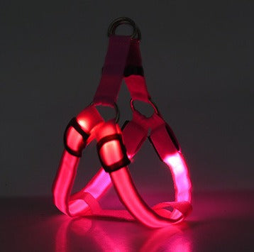 Arnés LED Luminiscente para Perros – Correa con Luz para Paseos Nocturnos