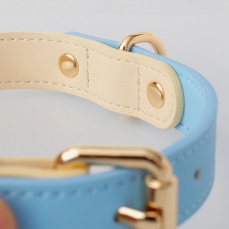 Collar y Correa de Cuero Genuino para Perros y Gatos – Accesorios Premium