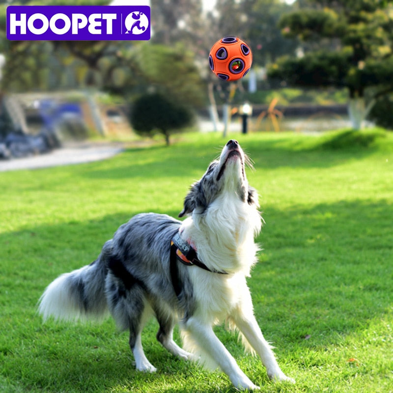 Pelota Interactiva de Goma para Perros – Juguete Masticable