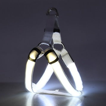 Arnés LED Luminiscente para Perros – Correa con Luz para Paseos Nocturnos
