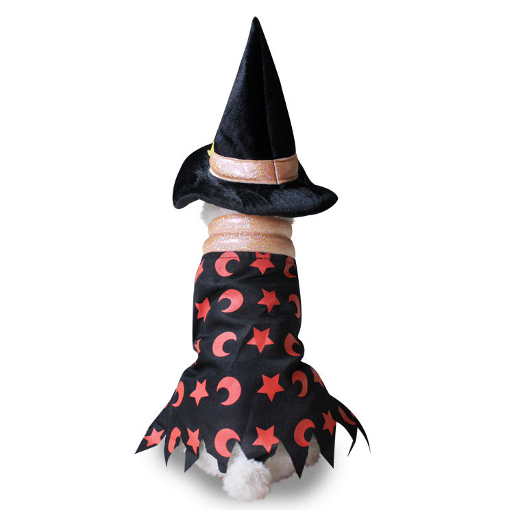 Disfraz de Halloween para Perros - Divertido y Creativo