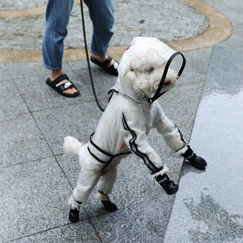 Impermeable Transparente Ligero para Perros Pequeños y Grandes