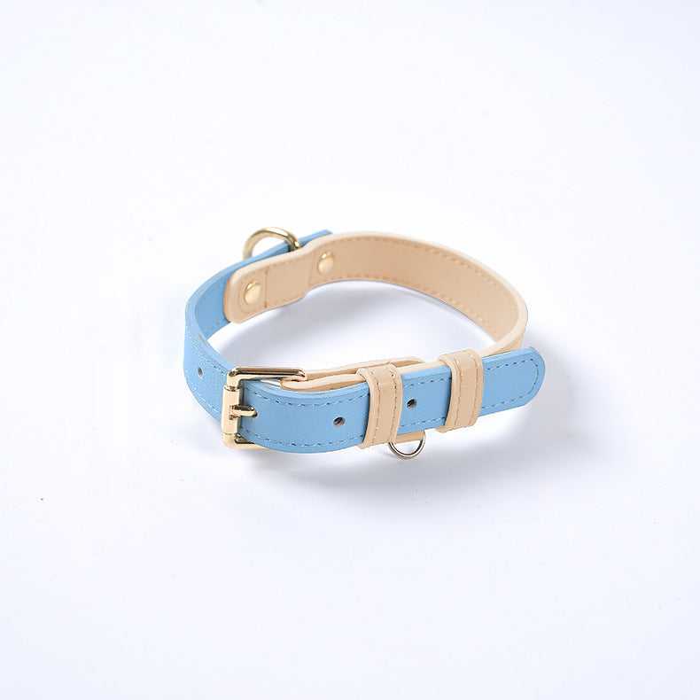Collar y Correa de Cuero Genuino para Perros y Gatos – Accesorios Premium
