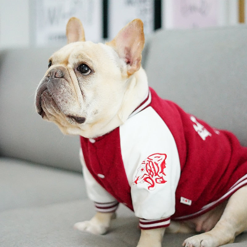 Suéter Universitario Estilo Coreano para Perros