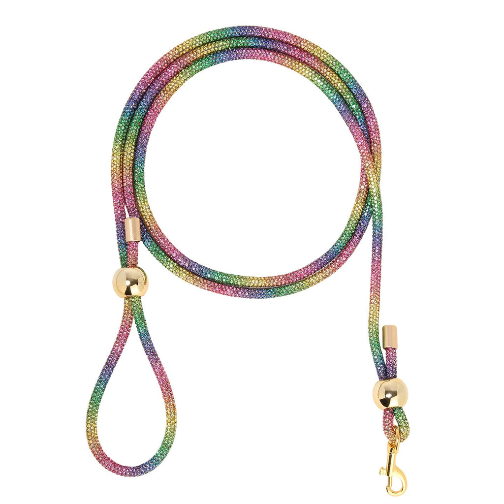 Correa de Paseo con Diamantes para Perros y Gatos – Nylon con Hebilla de Aleación
