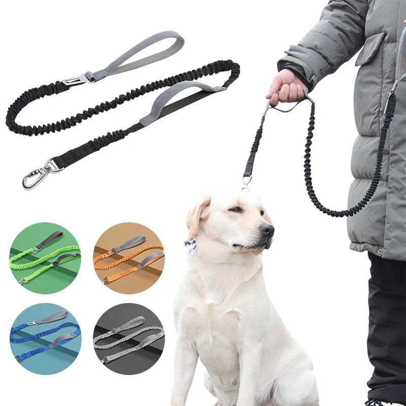 Correa Reflectante para Perros – Longitud Ajustable Libremente