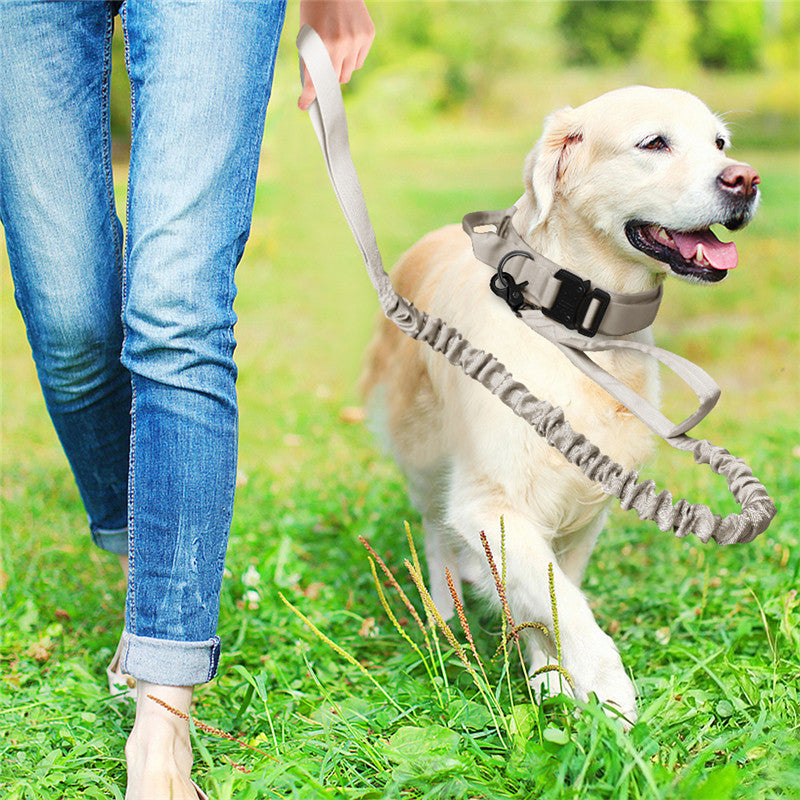 Collar Táctico de Nylon para Perros Medianos y Grandes