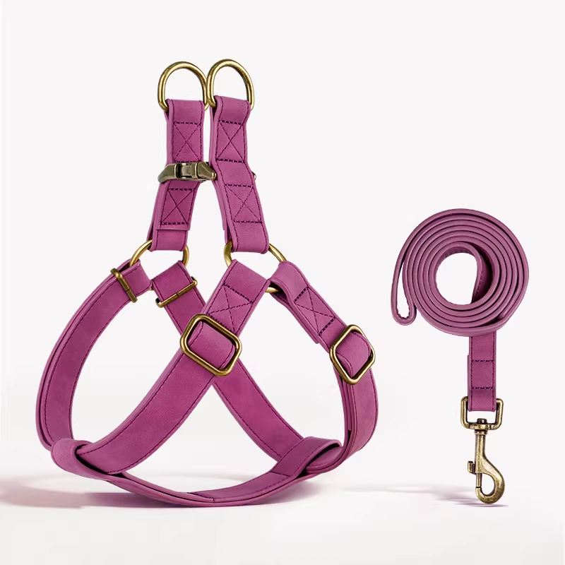 Arnés Chaleco Pectoral con Correa para Perros Medianos y Grandes