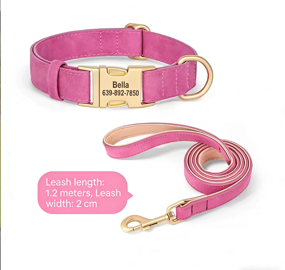 Dog Collar Lettering Teddy Bears Dog Collar Small Dog Going Out Neck Ring corgi Pet Neck Ring Dog Neck Ring