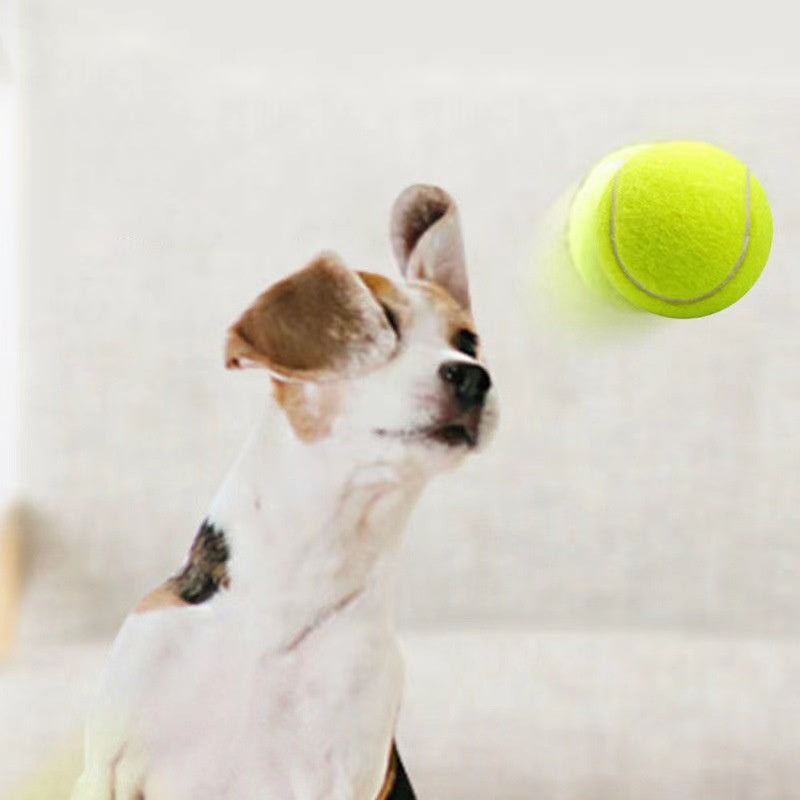 Pelota de Tenis de Goma para Perros - Juguete Resistente