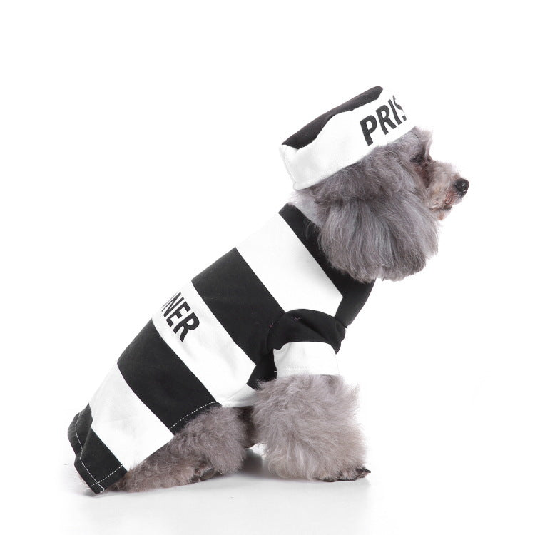 Disfraz de Halloween para Perros - Divertido y Creativo