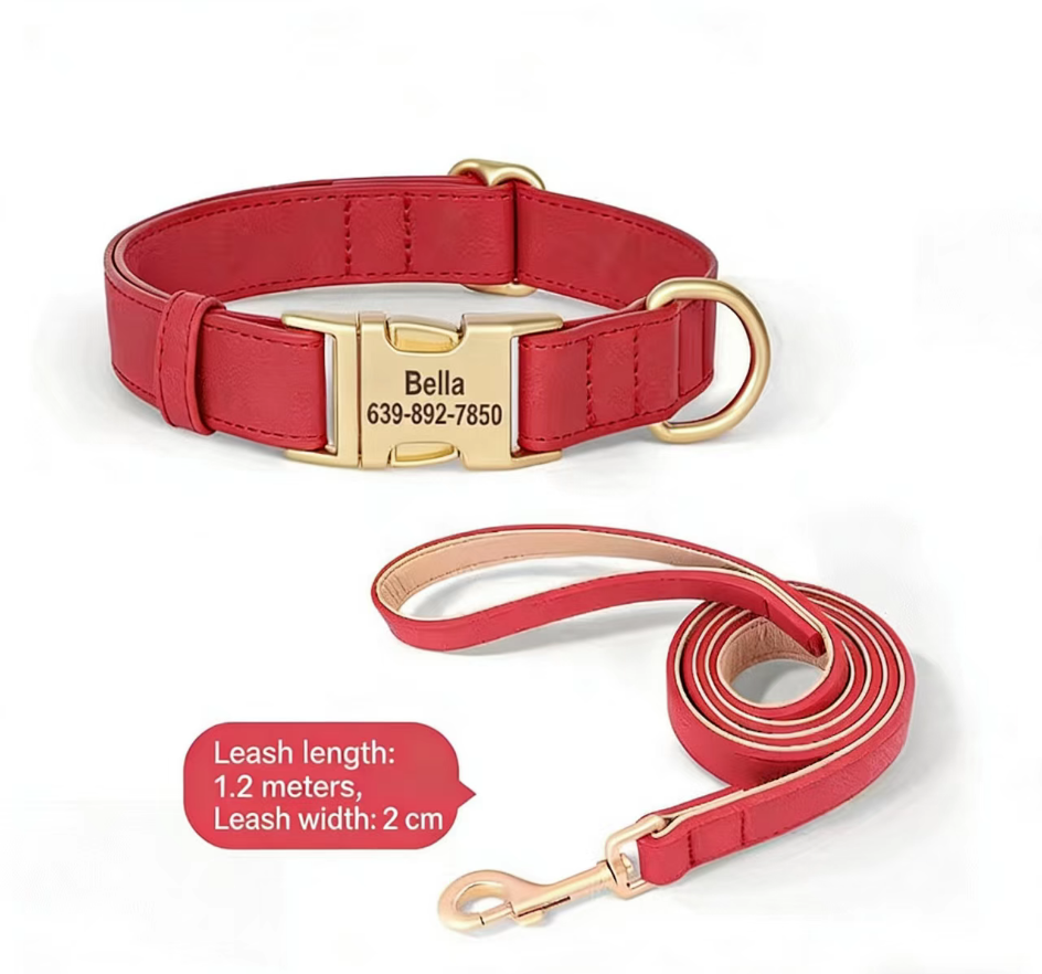 Dog Collar Lettering Teddy Bears Dog Collar Small Dog Going Out Neck Ring corgi Pet Neck Ring Dog Neck Ring