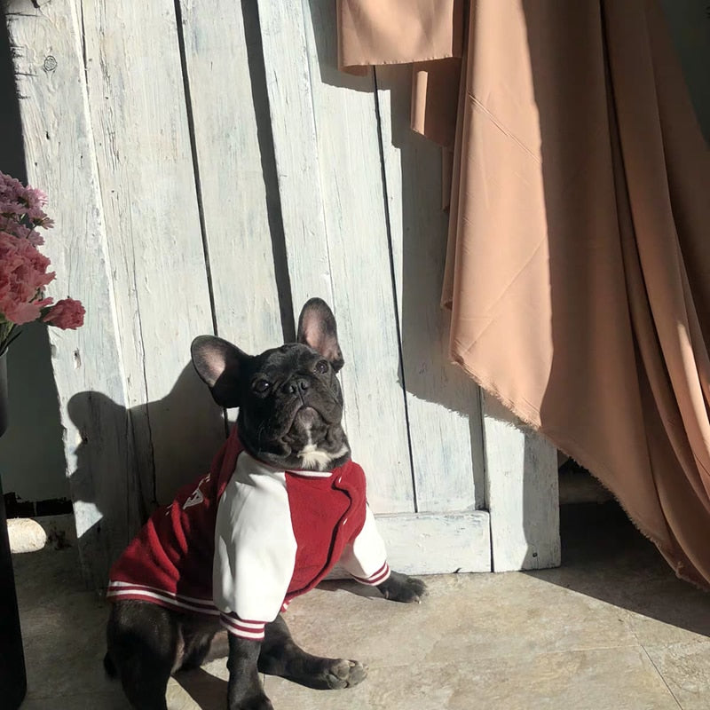 Suéter Universitario Estilo Coreano para Perros