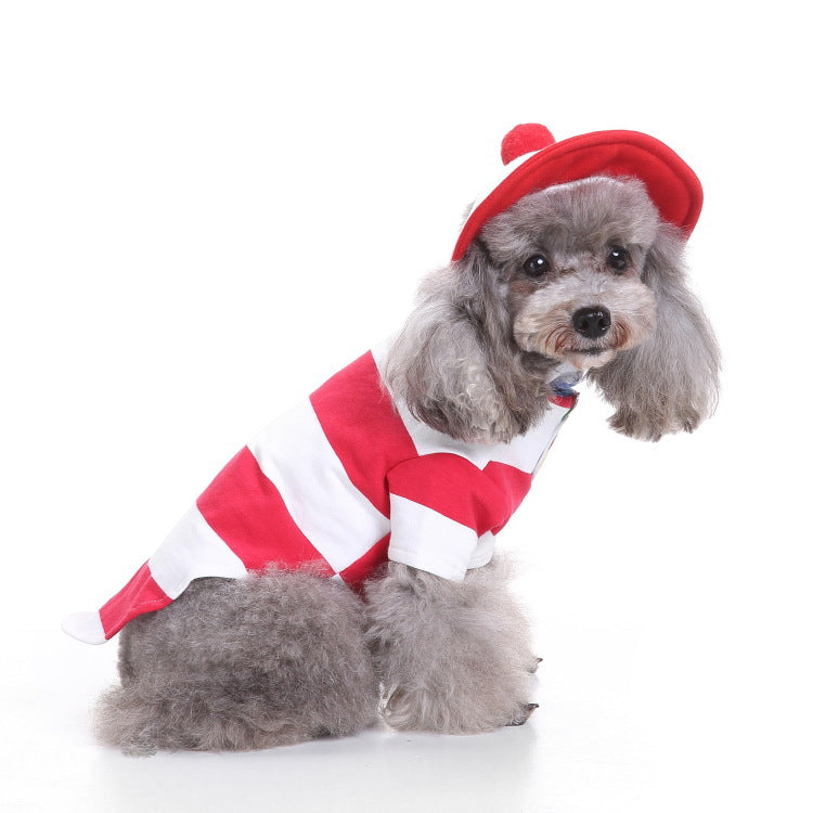 Disfraz de Halloween para Perros - Divertido y Creativo