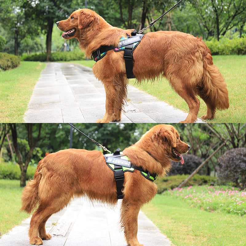 Pechera Reflectante con Protección de Cuello para Perros